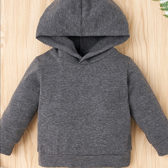 NWOT Baby Hoodie and DINO Roarr Pant Set.                 Size:9-12 M Color:Gray - Picture 5 of 7